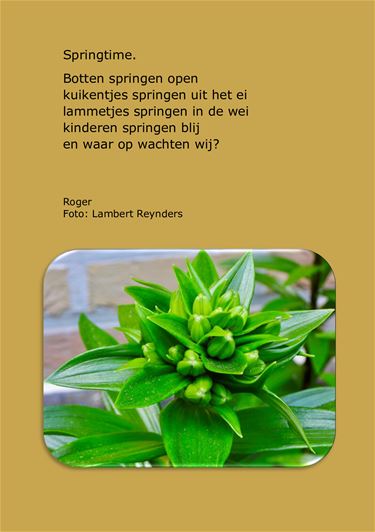 Springtime - Beringen & Leopoldsburg