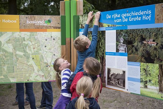 Sprinkhanen met blauwe vleugeltjes - Overpelt