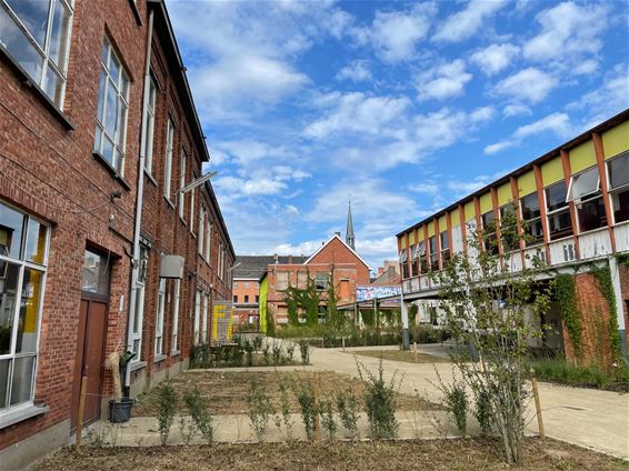 Stad Beringen aan de slag met Leerecosysteem - Beringen