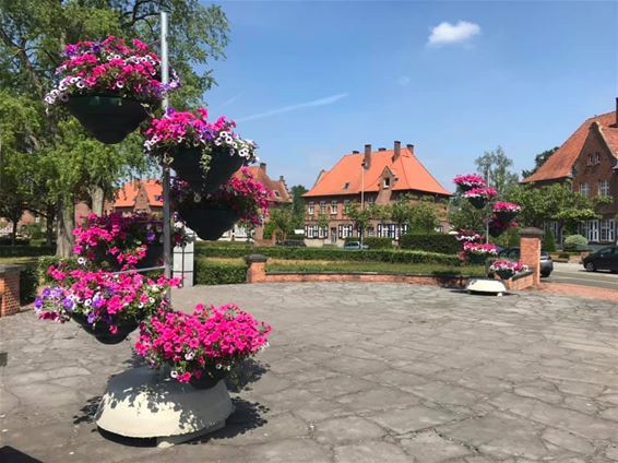 Stad Beringen kiest voor duurzame beplanting - Beringen
