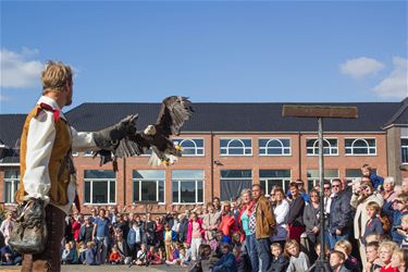 Stad Beringen verbiedt roofvogelshows - Beringen