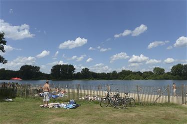 Stad Beringen zoekt jobstudenten - Beringen