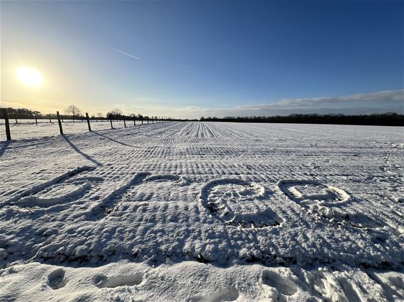 Bree - Stad Bree geniet mee van winterse sneeuwbeelden