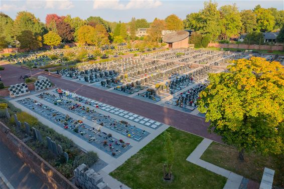 Stad maakt begraafplaatsen klaar voor de toekomst - Hamont-Achel