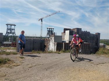 Stad roept op tot hoffelijkheid - Beringen