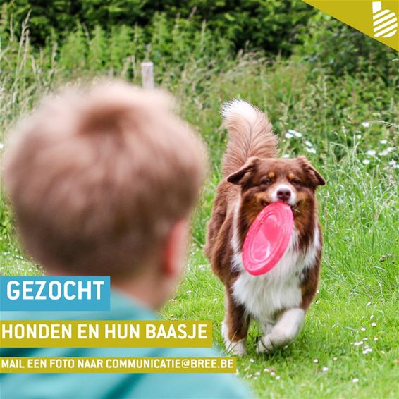 Stad zoekt honden en hun baasjes - Bree