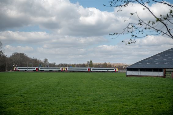 Staken is puzzelen - Hamont-Achel