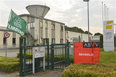 Staking De Lijn blijft duren - Beringen