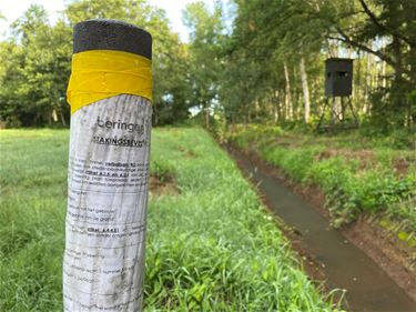 Stakingsbevel werken Hekstraat - Beringen