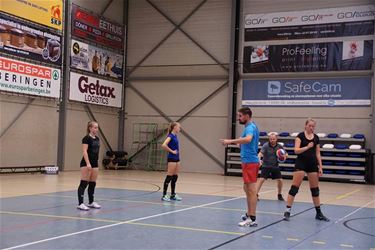 Stalvoc zoekt Benjamientjes - Beringen