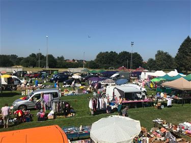 Standhouders rommelmarkt gezocht - Beringen