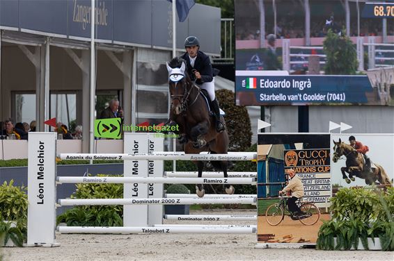 Starbello van ’t Goolder op WK jonge paarden - Bocholt