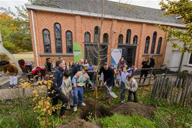 Start Nationale Boomplantdag - Beringen & Leopoldsburg