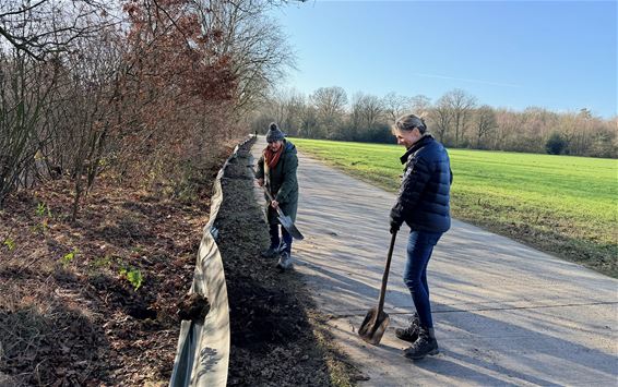 Start paddenoverzet aan De Grote Hof - Pelt