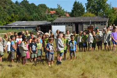 Startdag scouts Beringen-Mijn - Beringen