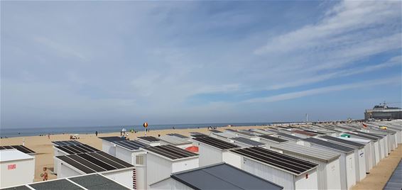 Stay Alert regelt toeristen op strand van Oostende - Beringen