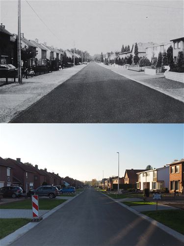 Steenovenstraat - Beringen