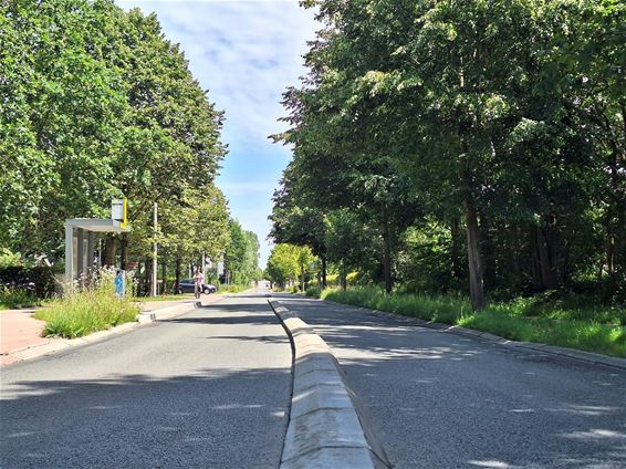 Steenweg Wijchmaal tijdelijk afgesloten - Peer