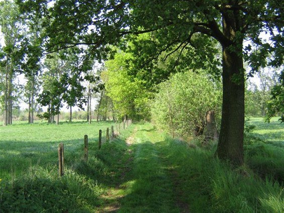 Stemmen voor de trage wegen van Neerpelt - Neerpelt