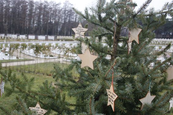 Ster hangen in herdenkingsboom - Pelt