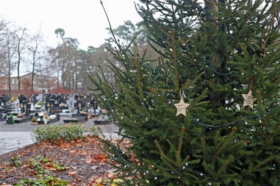 Sterrenbomen op Peltse begraafplaatsen - Pelt