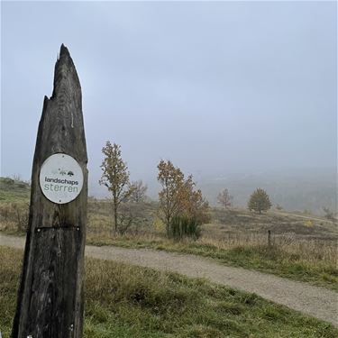 Sterrenplekjes vervagen - Beringen