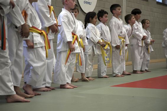 Steun voor sportclubs met goede jeugdwerking - Overpelt