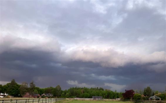 Stevig stormpje - Lommel & Pelt