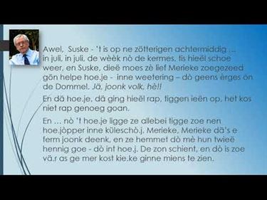Stier in de wei - Pelt
