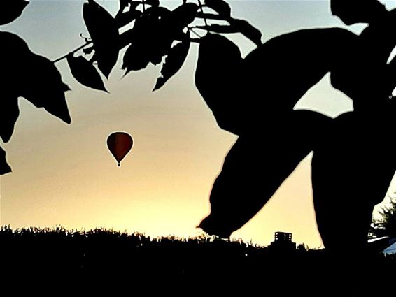 Stilleven met luchtballon - Lommel