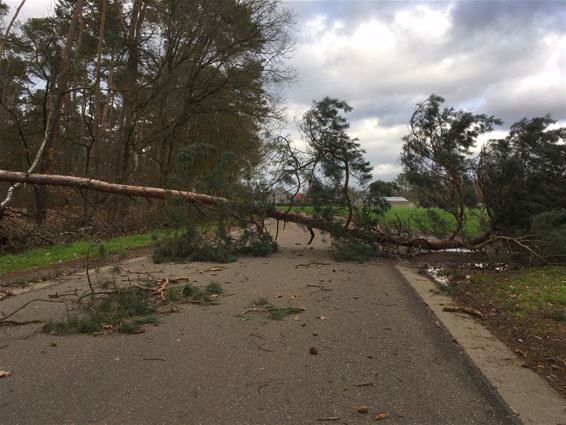 Storm in de Ballaststraat - Pelt