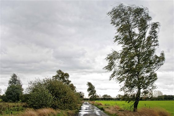 Storm over de Kolonie - Lommel