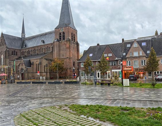 Pelt - Storm zorgt voorlopig voor weinig schade in Pelt