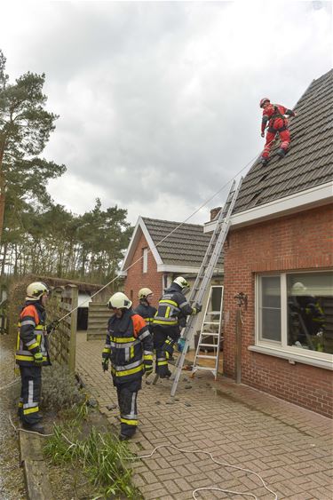 Stormschade door grillig lenteweer - Beringen