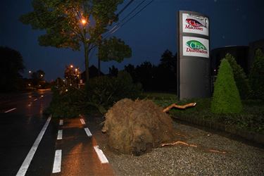 Stormschade erkend als ramp - Beringen