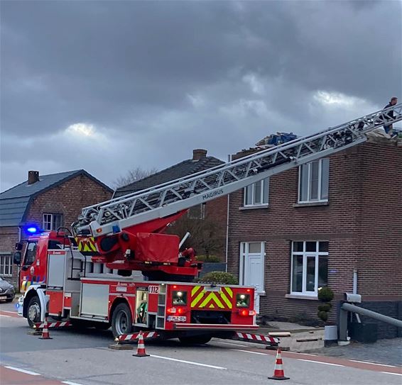 Stormschade in Kaulille - Bocholt