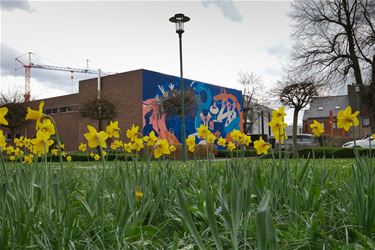 Stralend lenteweer - Beringen