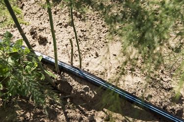 Strijd tegen de droogte