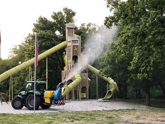 Strijd tegen processierupsen gestart - Pelt