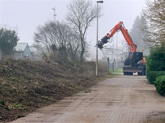 Struikgewas rond tennisterreinen verwijderd - Pelt