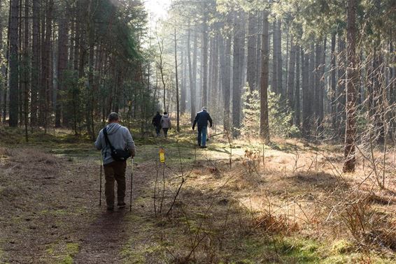 Succesvolle Pijnventocht - Lommel