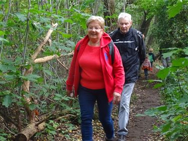 Succesvolle wandeltocht Wandelend Paal - Beringen