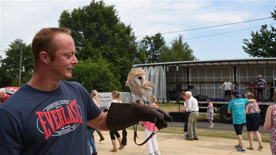 Swingende countrynamiddag - Beringen