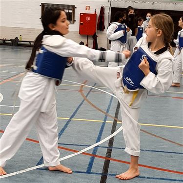 Taekwandoclub kan toch trainen ondanks corona - Beringen