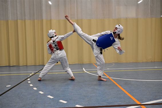 Taekwondo Donji Beringen - Beringen
