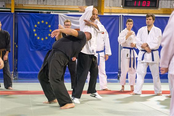 Tai Jitsu Sakura in Koersel - Beringen