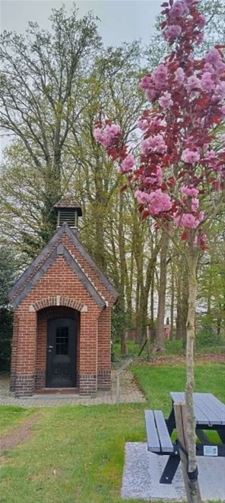 Tal van activiteiten in Mariamaand - Peer