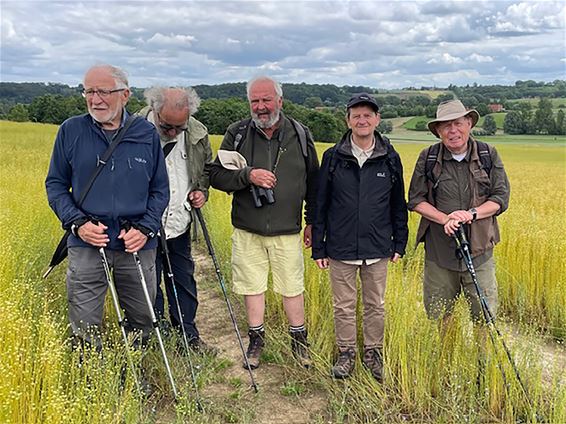 Te voet door de Vlaamse Ardennen - Pelt