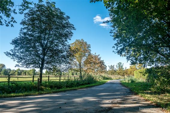 Te voet van Hamont naar Neerpelt - Hamont-Achel & Pelt