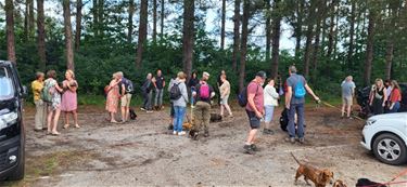 Teckelwandeling in Kolonie - Lommel
